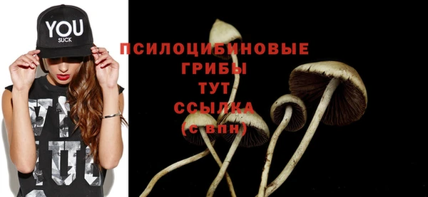 первитин Абаза