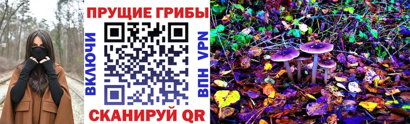 Псилоцибиновые грибы MAGIC MUSHROOMS  где продают   Кораблино 